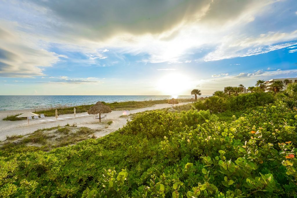 Beaches - Siesta Key Vacation Rentals